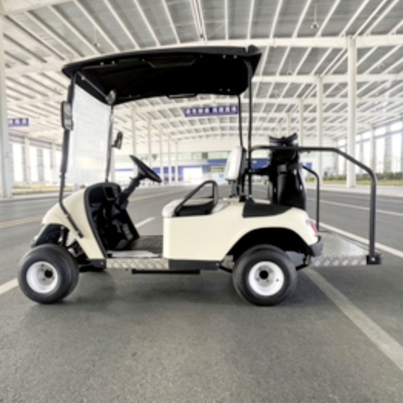 Nuovo Modello 2026: Golf Cart  - Golf Bag Stand Cart recensione e prezzo