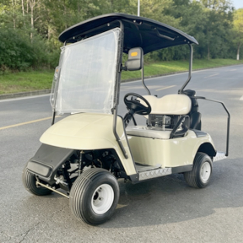 Nuovo Modello 2026: Golf Cart  - Golf Bag Stand Cart recensione e prezzo