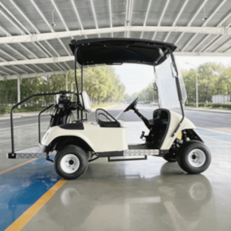 Nuovo Modello 2026: Golf Cart  - Golf Bag Stand Cart recensione e prezzo