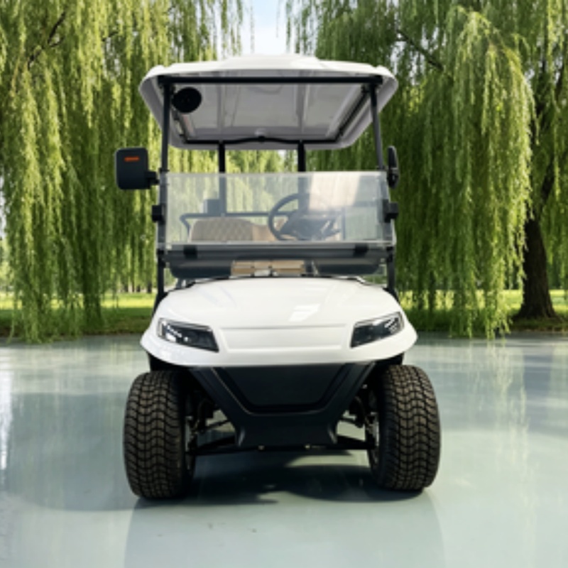 Carrello da golf elettrico cin - Golf Bag Stand Cart recensione e prezzo