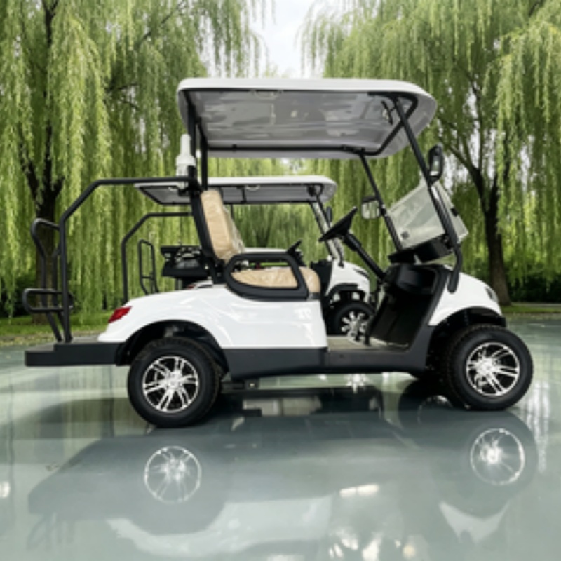 Carrello da golf elettrico cin - Golf Bag Stand Cart recensione e prezzo
