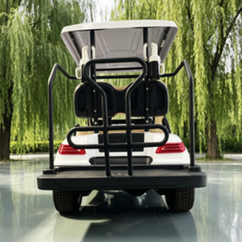 Carrello da golf elettrico cin - Golf Bag Stand Cart recensione e prezzo