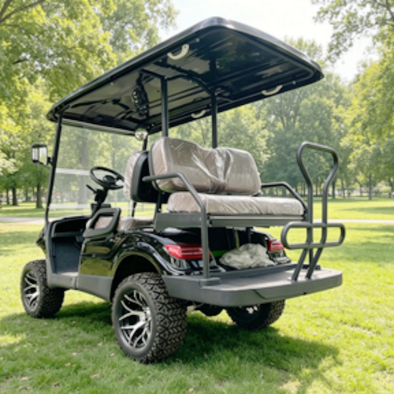 Golf Cart Elettrico a 2 Posti, - Golf Bag Stand Cart recensione e prezzo