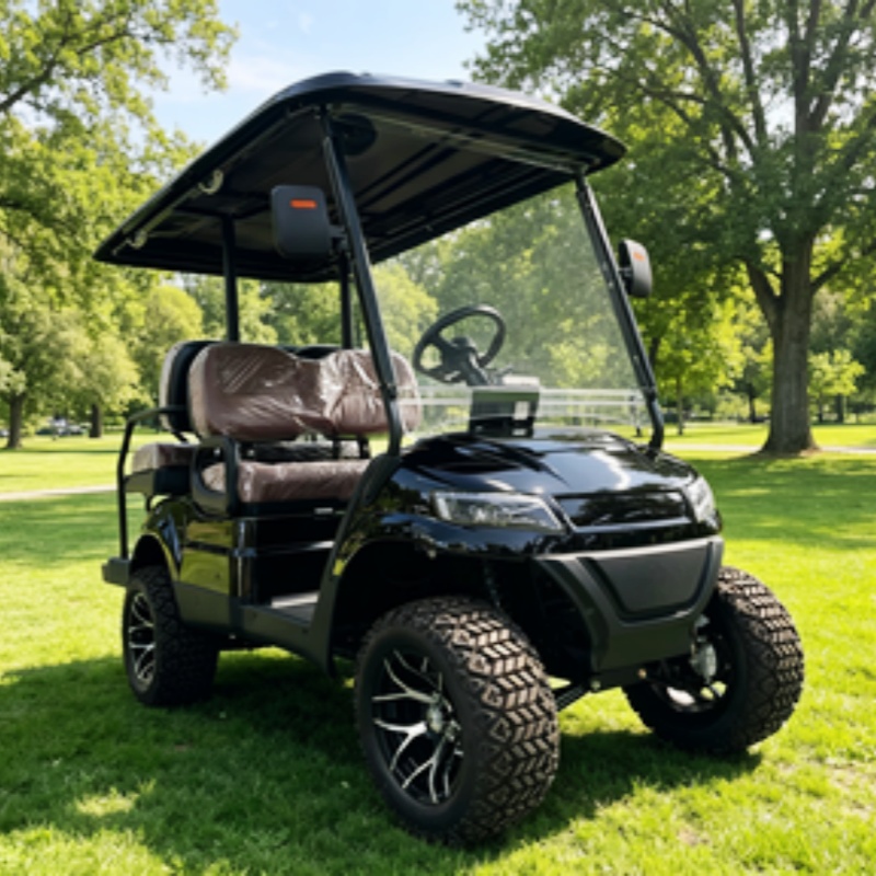 Golf Cart Elettrico a 2 Posti, - Golf Bag Stand Cart recensione e prezzo