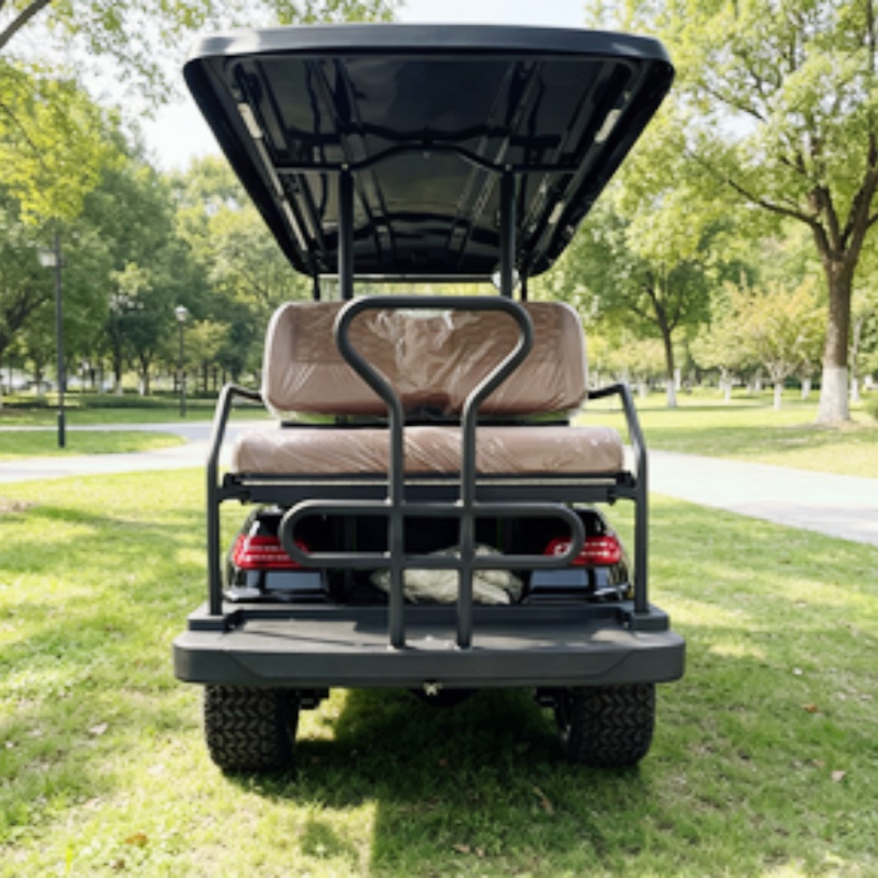 Golf Cart Elettrico a 2 Posti, - Golf Bag Stand Cart recensione e prezzo