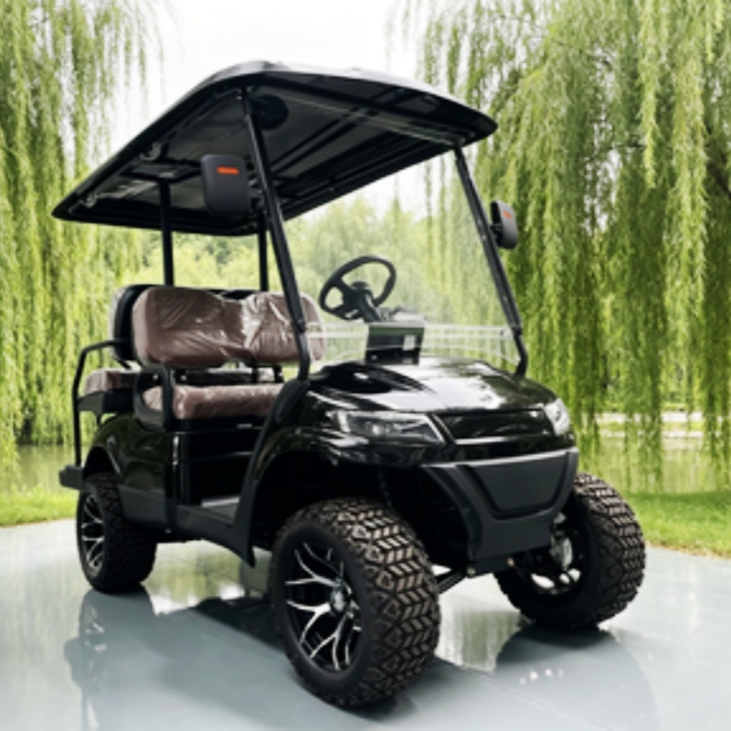 Carrello da Golf Elettrico a 2 - Golf Bag Stand Cart recensione e prezzo